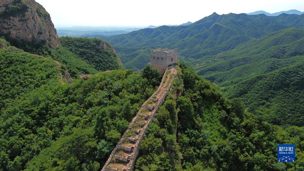 ag金龙珠